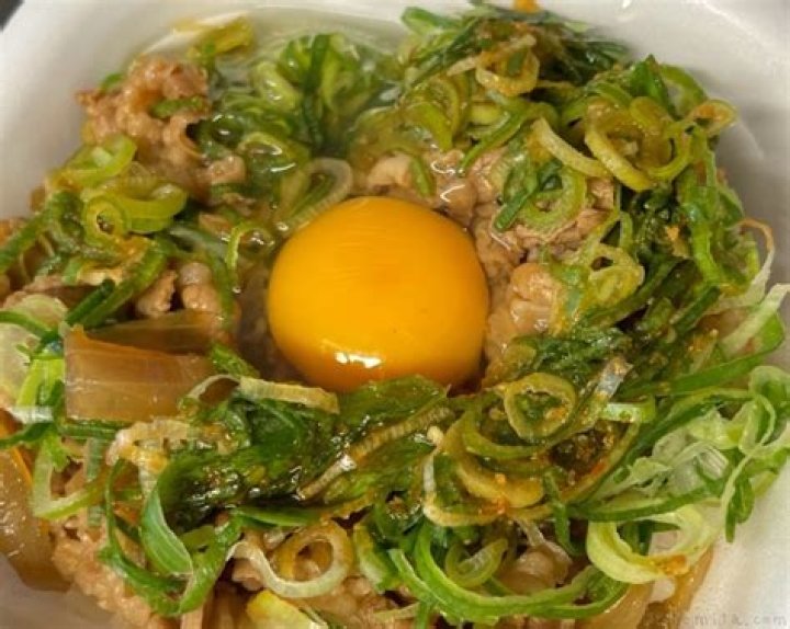 ネギたま牛丼の魅力を徹底解説：家で作る“間違いない”一杯