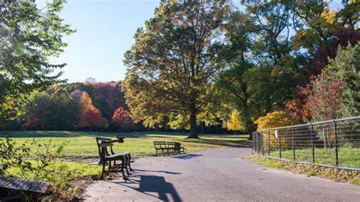月見里公園の魅力を現地目線で：遊び場と学びの“となり”を歩く